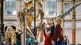 Museum für Naturkunde, Berlin