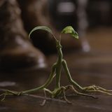 Phantastische Tierwesen 2