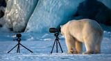 Roie Galitz / Comedy Wildlife Photography Awards 2018