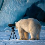 Roie Galitz / Comedy Wildlife Photography Awards 2018