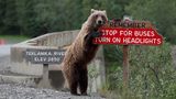 Jonathan Irish / Comedy Wildlife Photography Awards 2018