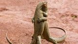 Savvi Sergey / Comedy Wildlife Photography Awards 2018