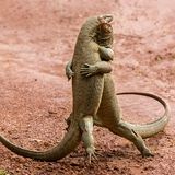 Savvi Sergey / Comedy Wildlife Photography Awards 2018