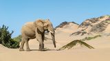 Namibia