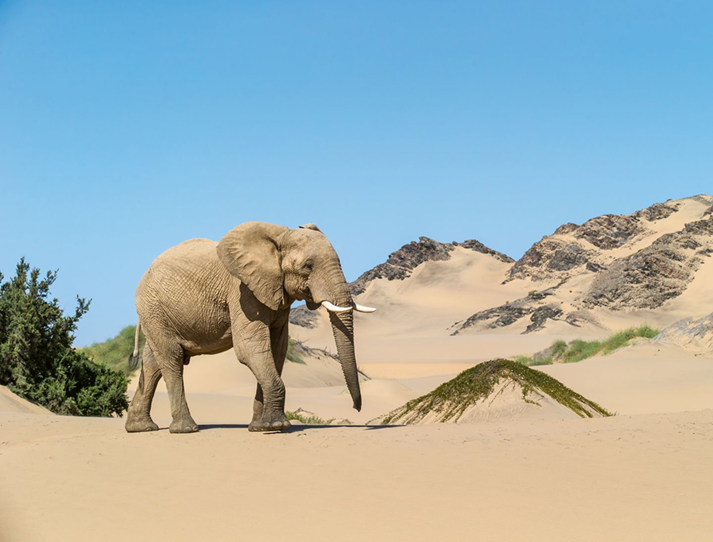 Namibia