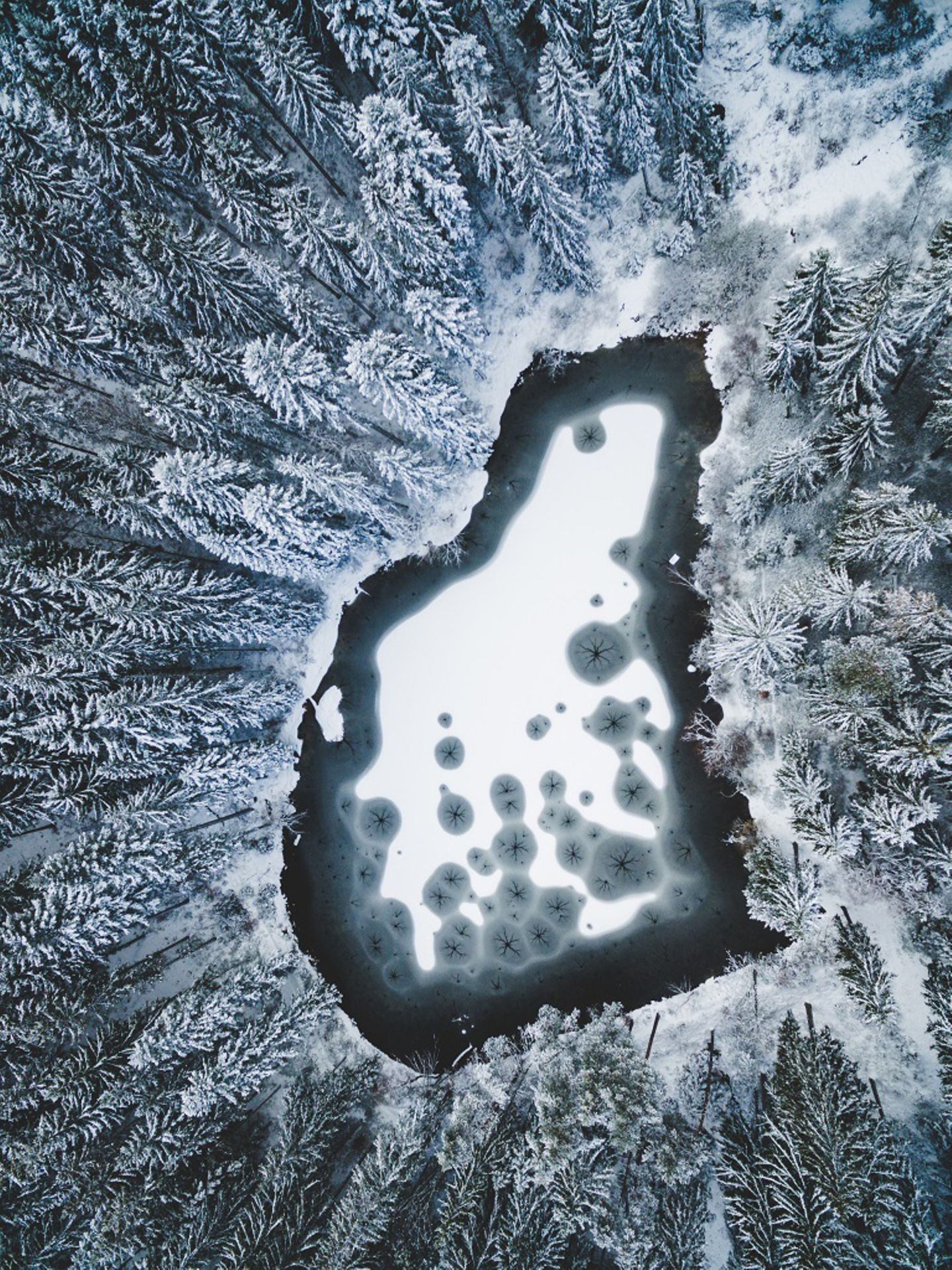 Schwarzwald Schwarzwald