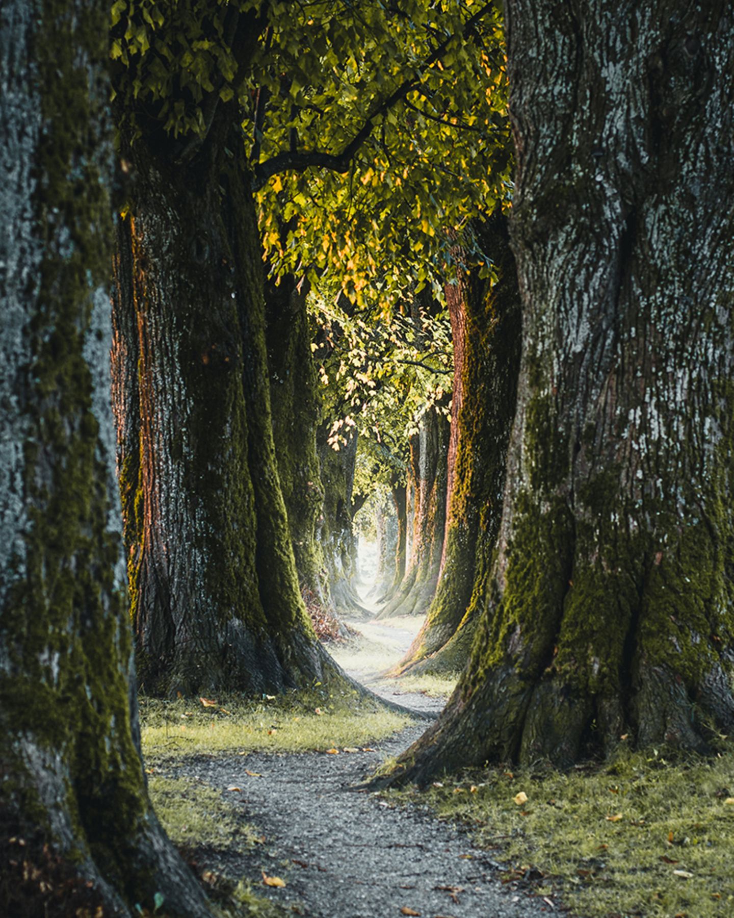 GEO Leserfoto: Die besten Leserfotos: November 2018 - Bild 10 Holzkirchen