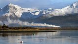 Ffestiniog & Welsh Highland Railways