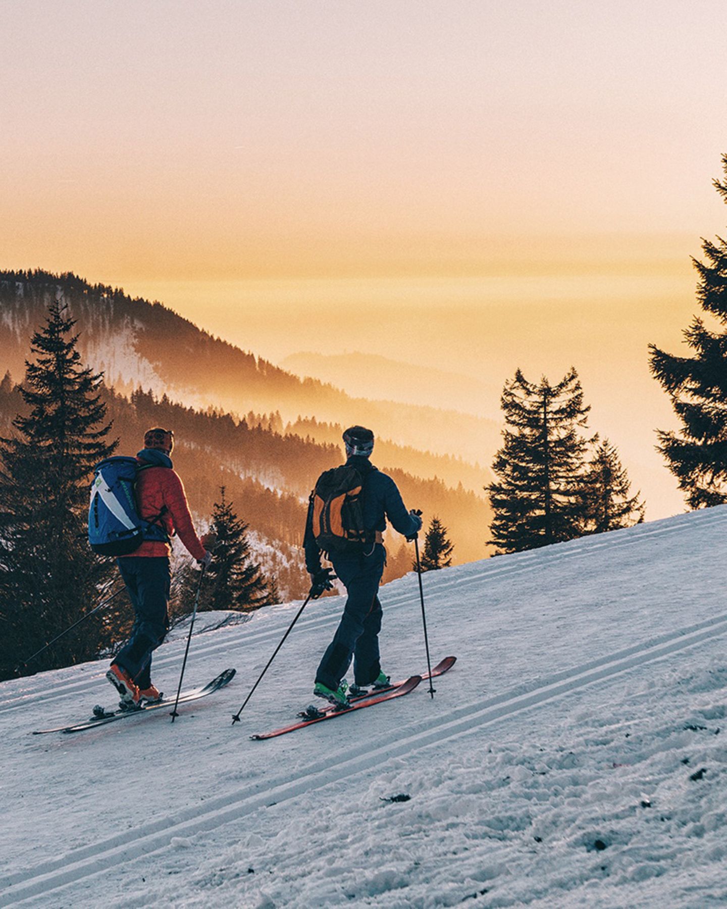GEO Leserfoto: Die besten Leserfotos: November 2018 - Bild 9 Feldberg: Skifahrer auf dem Weg zum Gipfel