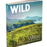 Wildguide - Wales