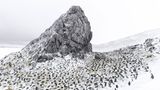 Eisland, Vincent Munier