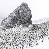 Eisland, Vincent Munier