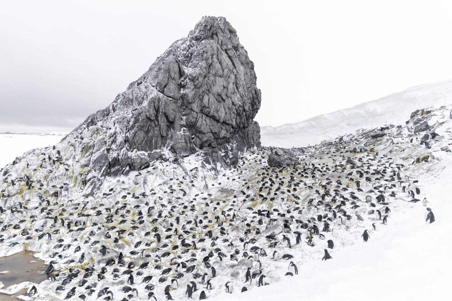 Eisland, Vincent Munier