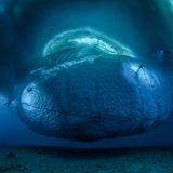 Eismeer, Laurent Ballesta