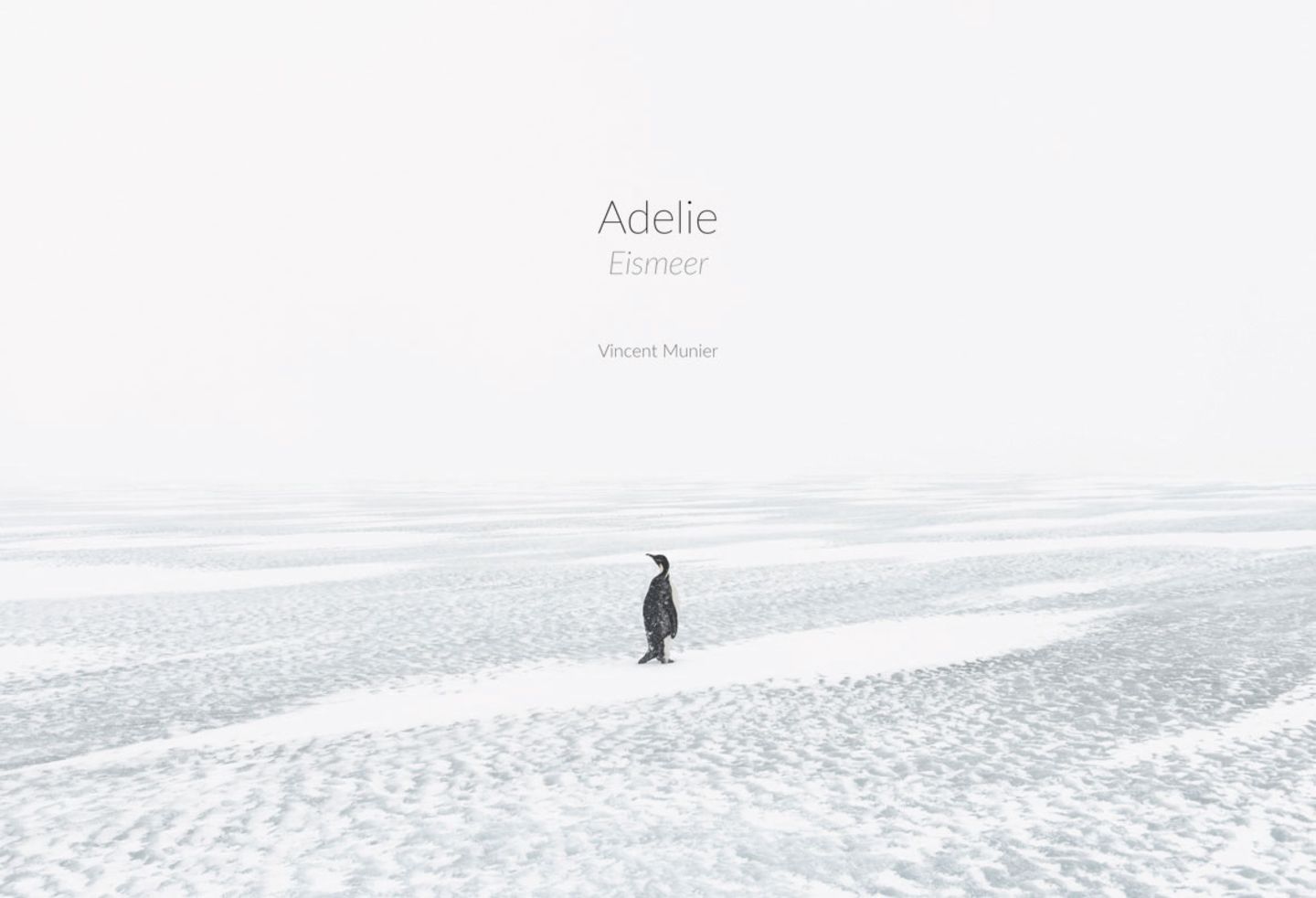 Adelie I Eismeer – Eisland