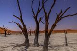Sterne über versteinerten Kameldornbäumen (Vachellia erioloba), Deadvlei, Namib-Naukluft National Park, Namibia