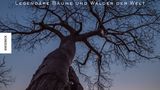 Art Wolfe - Dem Himmel so nah