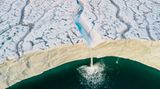 Audun Lie Dahl /Wildlife Photographer of the Year/Natural History Museum