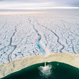 Audun Lie Dahl /Wildlife Photographer of the Year/Natural History Museum