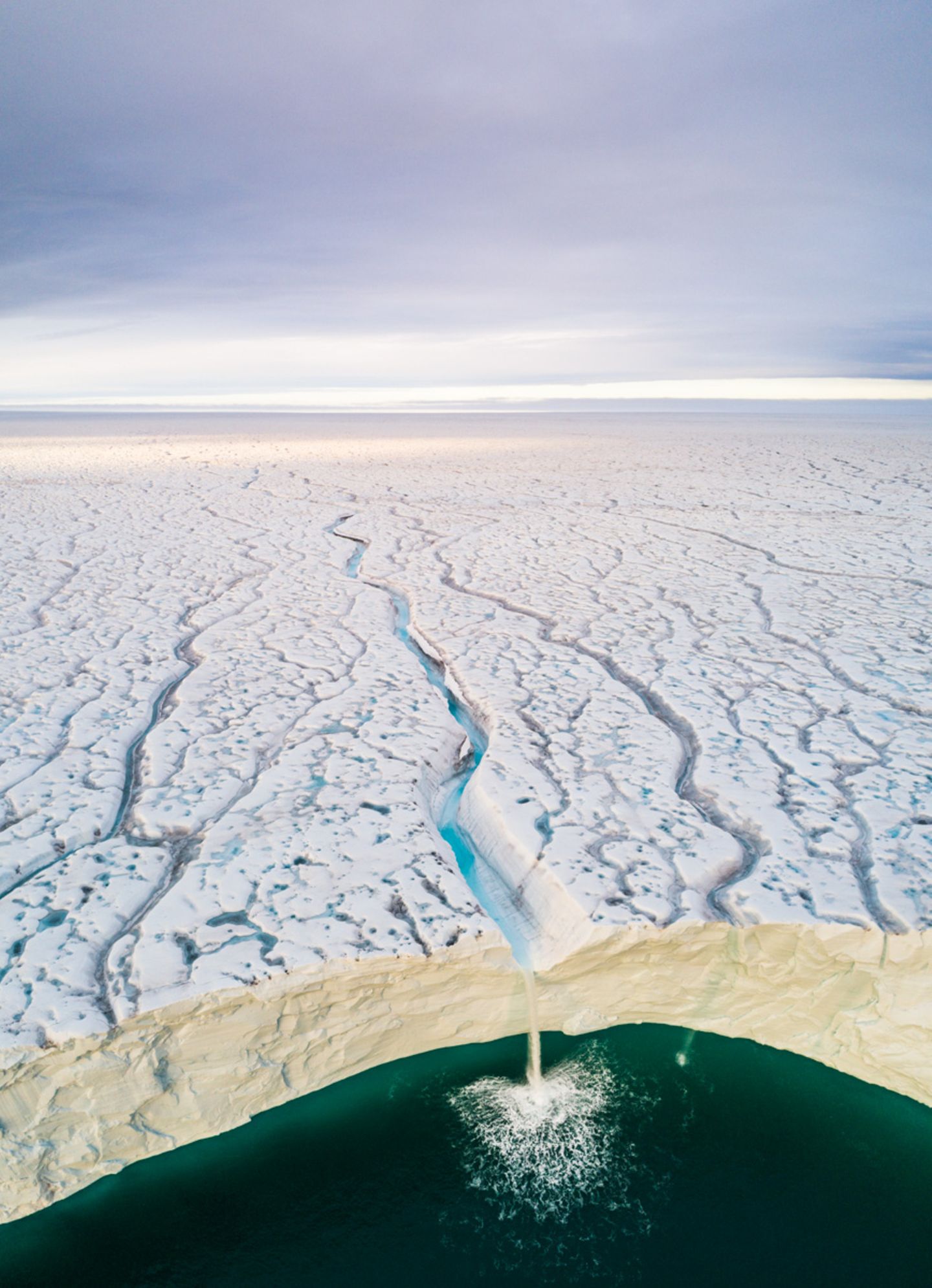 Audun Lie Dahl /Wildlife Photographer of the Year/Natural History Museum