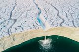 Audun Lie Dahl /Wildlife Photographer of the Year/Natural History Museum