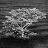 Anna Henly/Wildlife Photographer of the Year/Natural History Museum