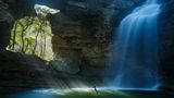 Eduardo Blanco Mendizabal /Wildlife Photographer of the Year/Natural History Museum