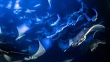 Franco Banfi /Wildlife Photographer of the Year/Natural History Museum