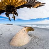 Phil Jones/Wildlife Photographer of the Year/Natural History Museum