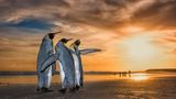Wim Van Den Heever/Wildlife Photographer of the Year/Natural History Museum