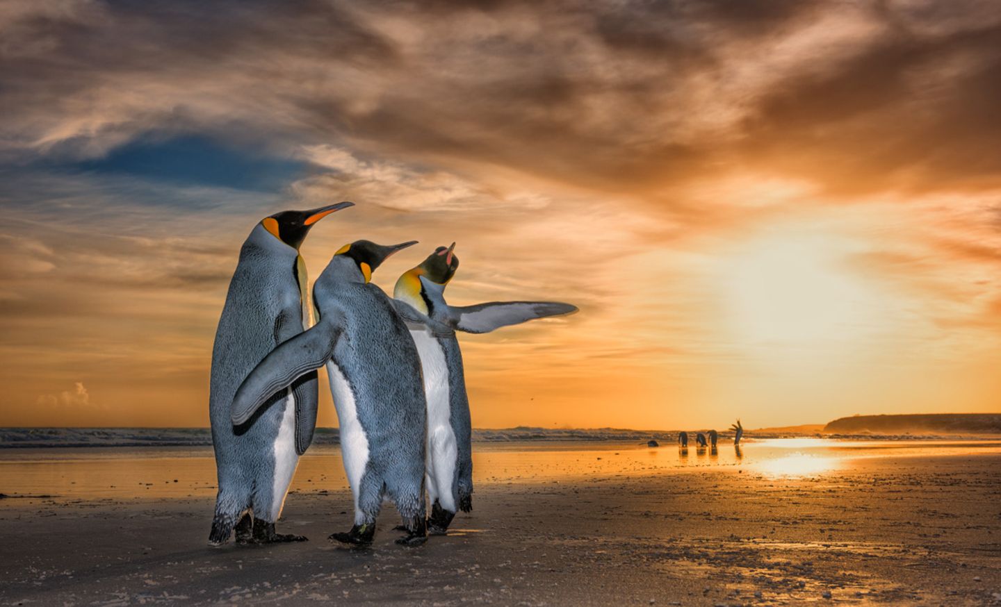 Wim Van Den Heever/Wildlife Photographer of the Year/Natural History Museum