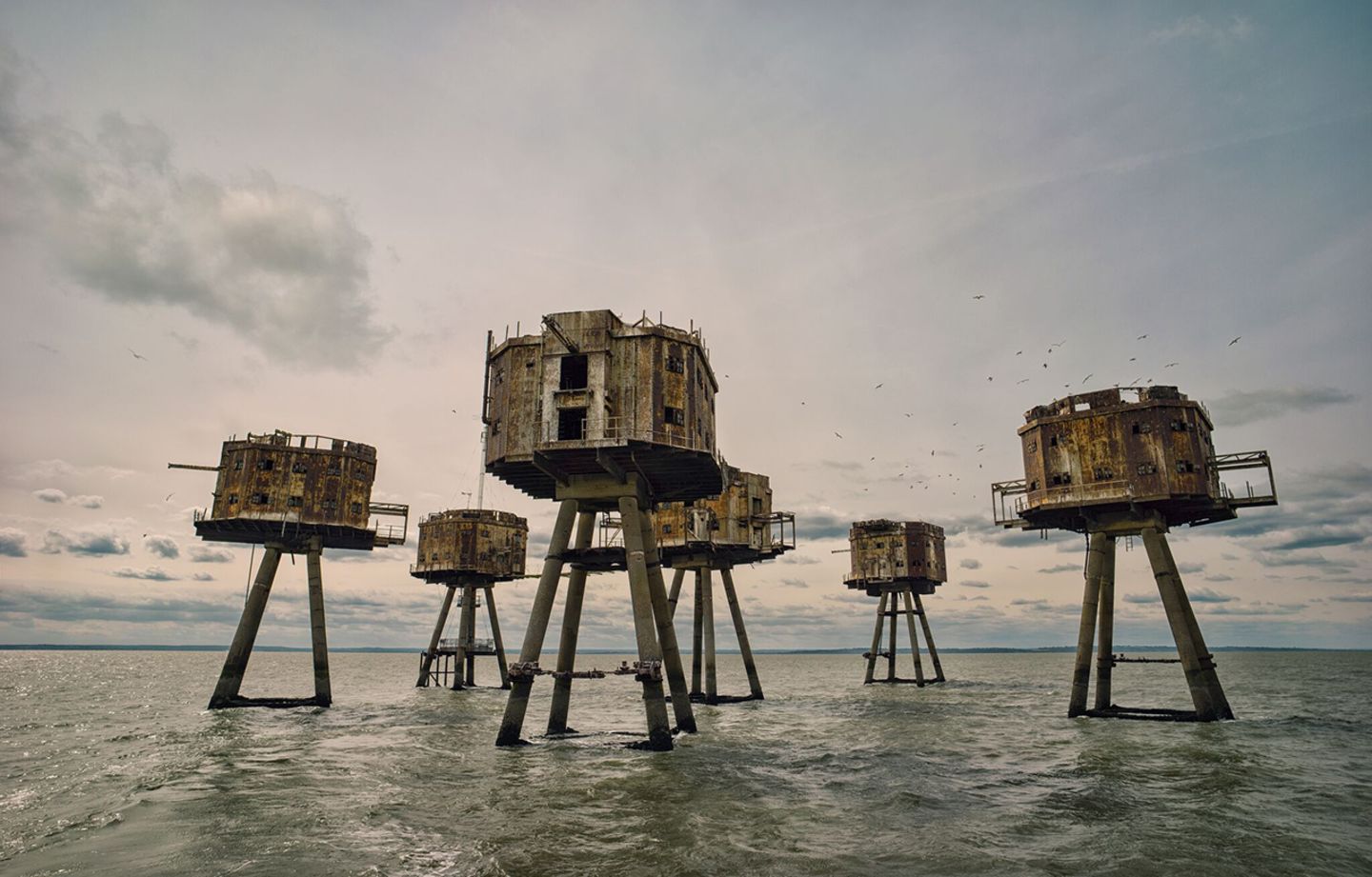 English History Historic Photographer Of The Year 2018