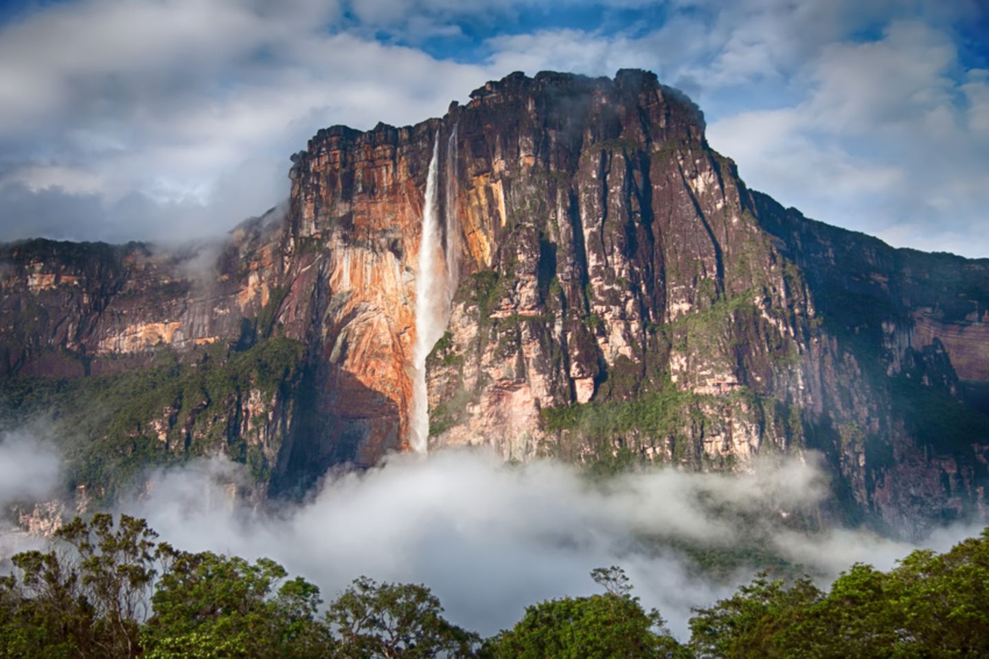 Venezuela Natur Venezuela Wikipedia In Venezuela Herrscht Eine 