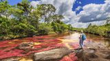 Cano Cristales