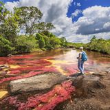 Cano Cristales