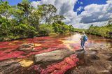 Cano Cristales