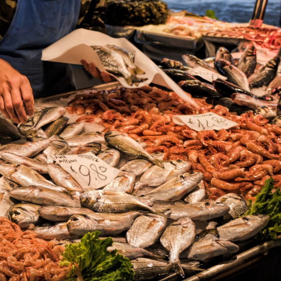 Fisch