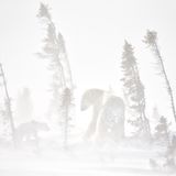 Mahlzeit bei miesem Wetter