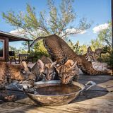 Freunde für einen Sommer