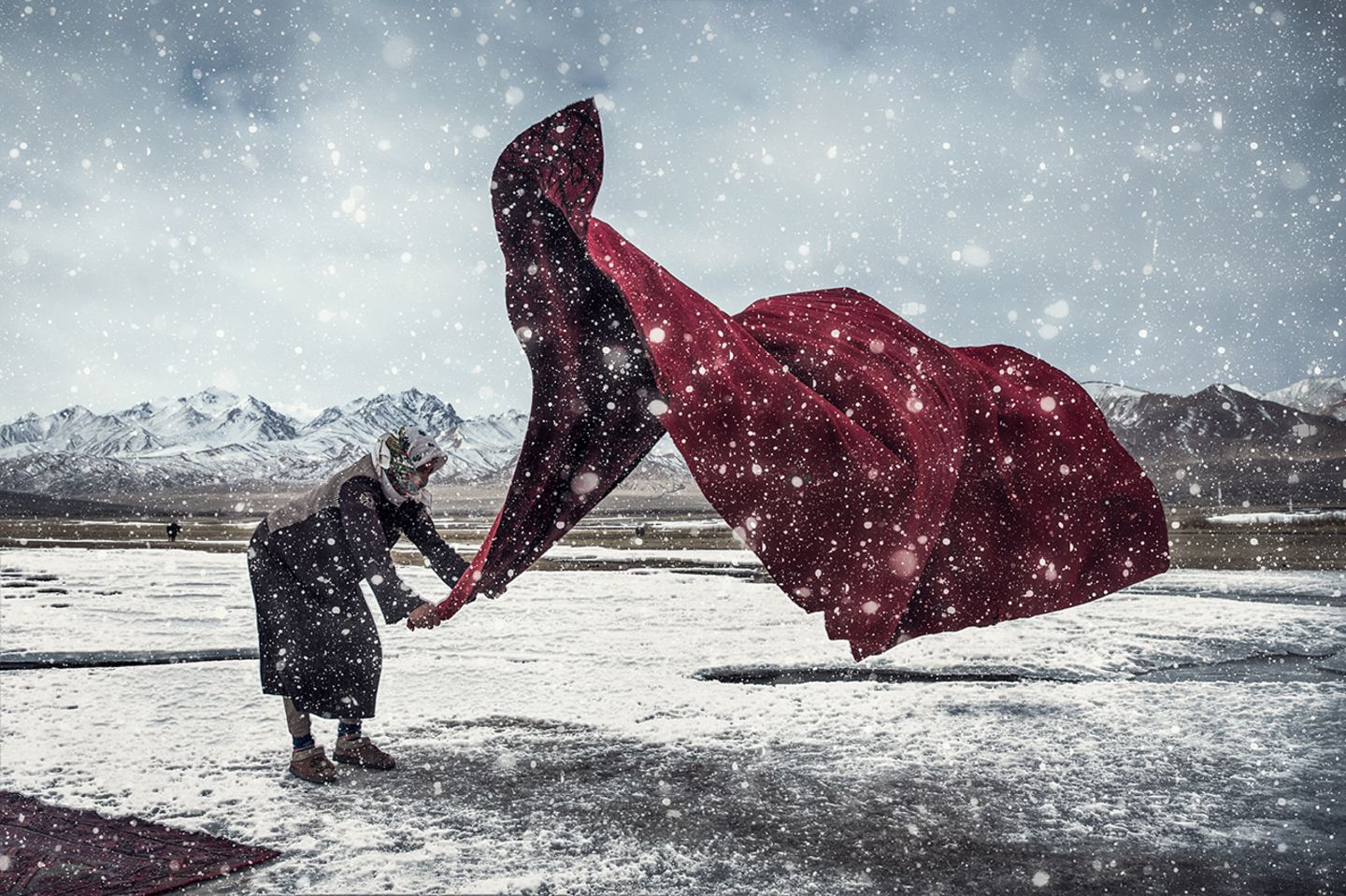 Windwesen im Schneegestöber