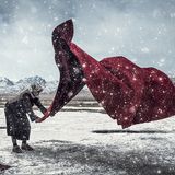 Windwesen im Schneegestöber