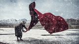 Windwesen im Schneegestöber