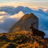 Kanisfluh, Vorarlberg, Austria