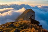 Kanisfluh, Vorarlberg, Austria