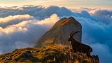 Kanisfluh, Vorarlberg, Austria