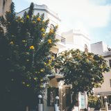 Bauhaus, Tel Aviv, Israel