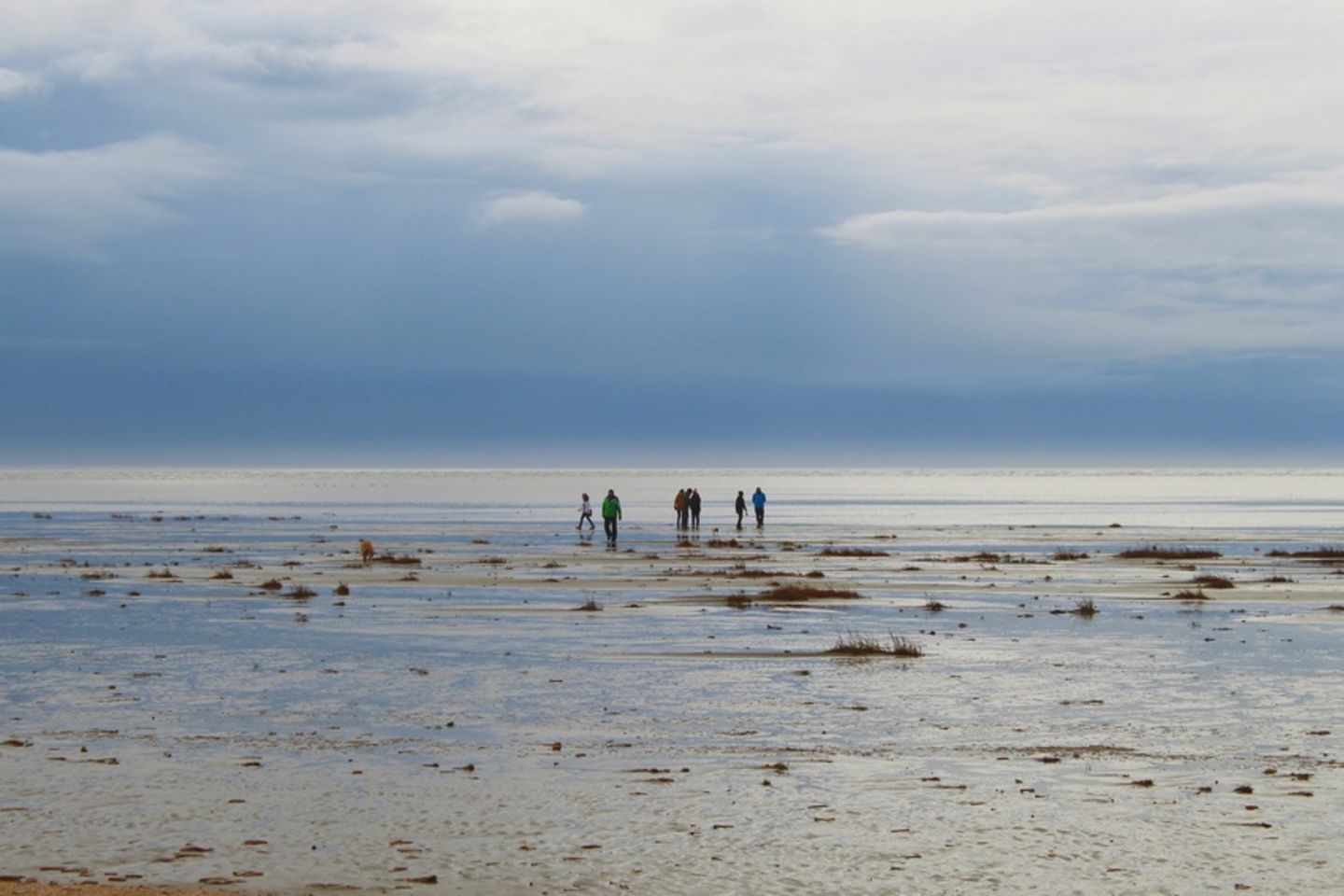 Spaziergänger im Wattenmeer
