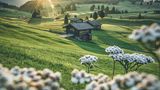 Seiser Alm