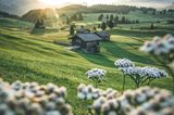 Seiser Alm
