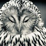 GEO Leserfoto: Die besten Leserfotos: Dezember 2018 - Bild 2